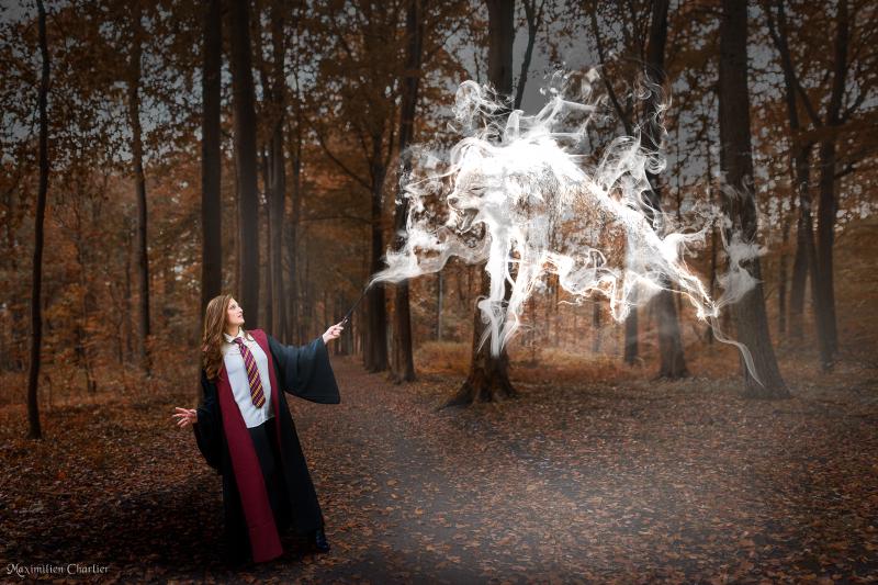 Florie - Harry Potter - 2019